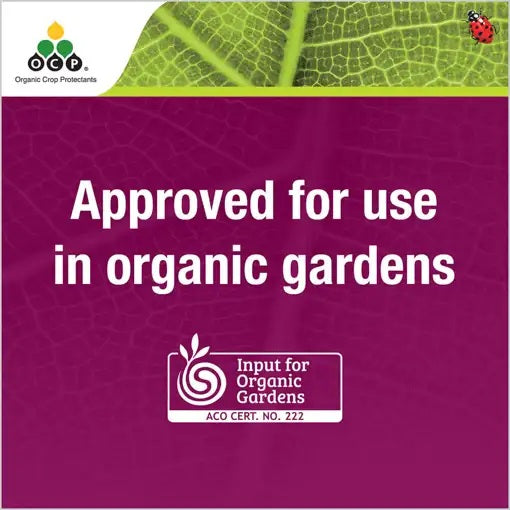 OCP eco-caterpillar killer DiPel® 4x10g Sachets