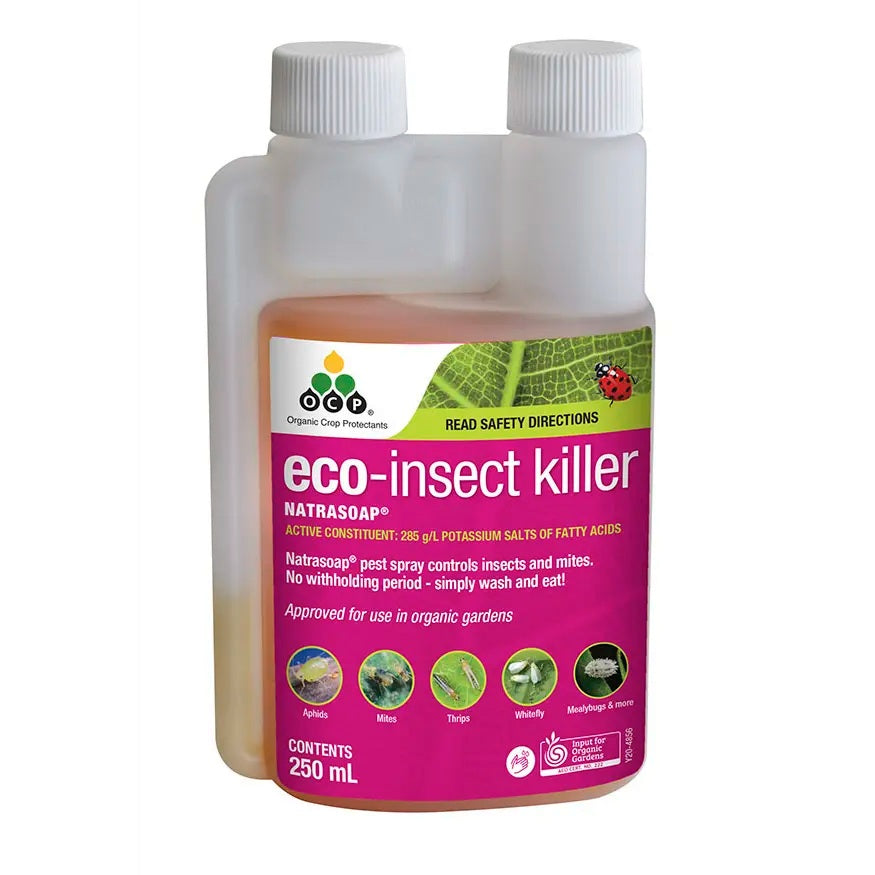 OCP eco-insect killer Natrasoap® Concentrate