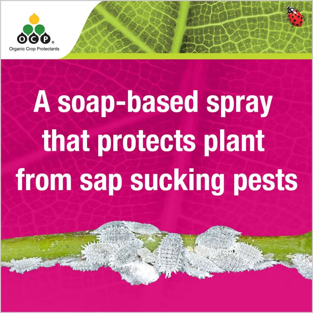 OCP eco-insect killer Natrasoap® Concentrate