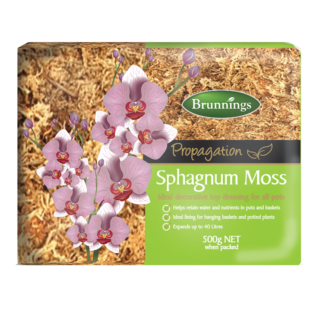 Sphagnum Moss