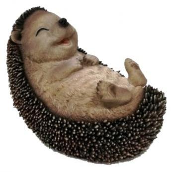 Porcupine On Back