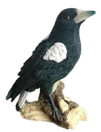 Magpie On Stump