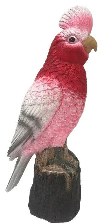 Pink And Grey Galah On Stump