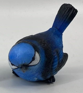 Blue Wren