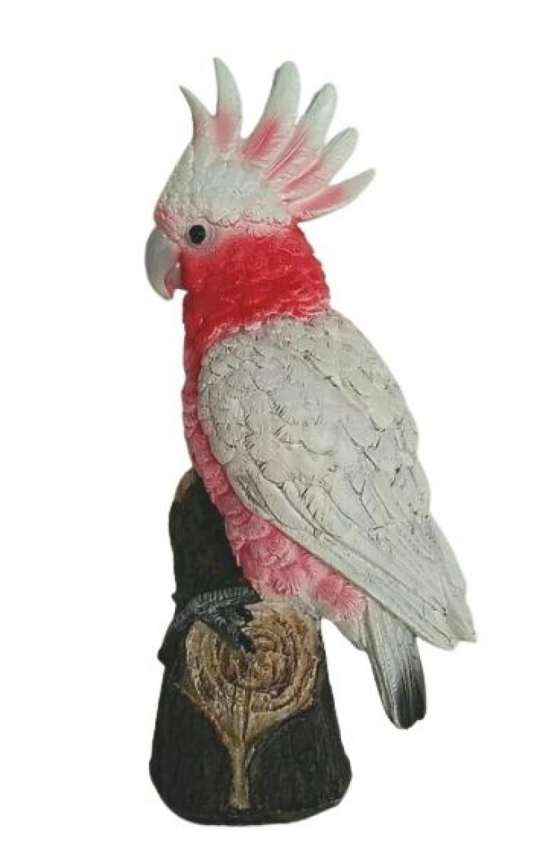 Pink Galah