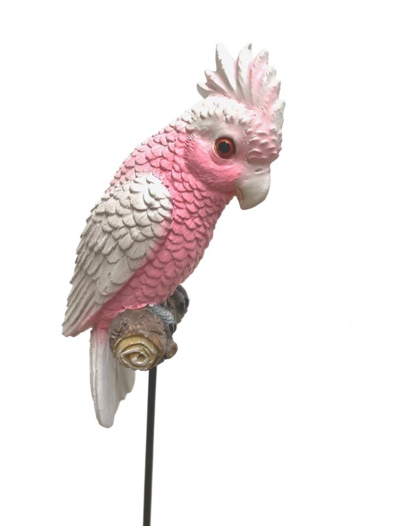Baby Pink And Grey Galah On Stick