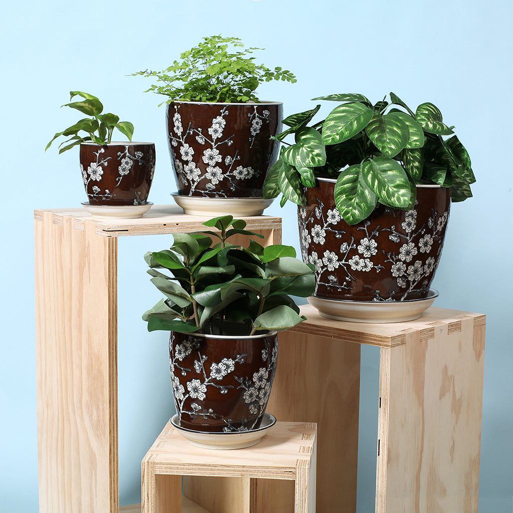 Blossom Planter With Saucer