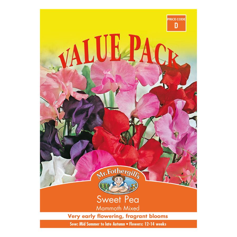 Seeds C Sweet Pea Mammoth Mixed