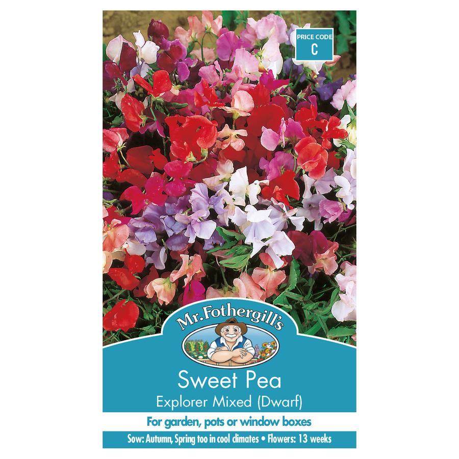 Seeds C Sweet Pea Explorer