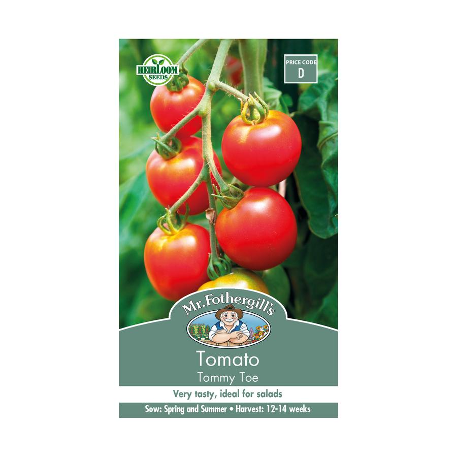 Seeds D Tomato Tommy Toe