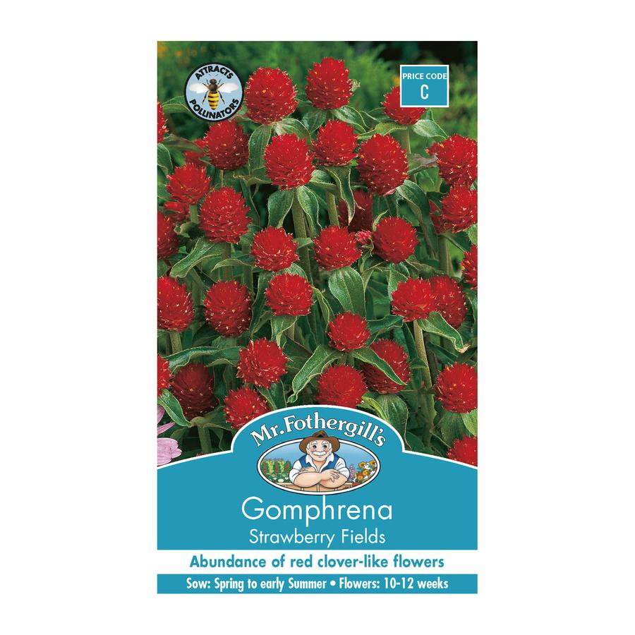 Seeds C Gomphrena Strawberry Fields
