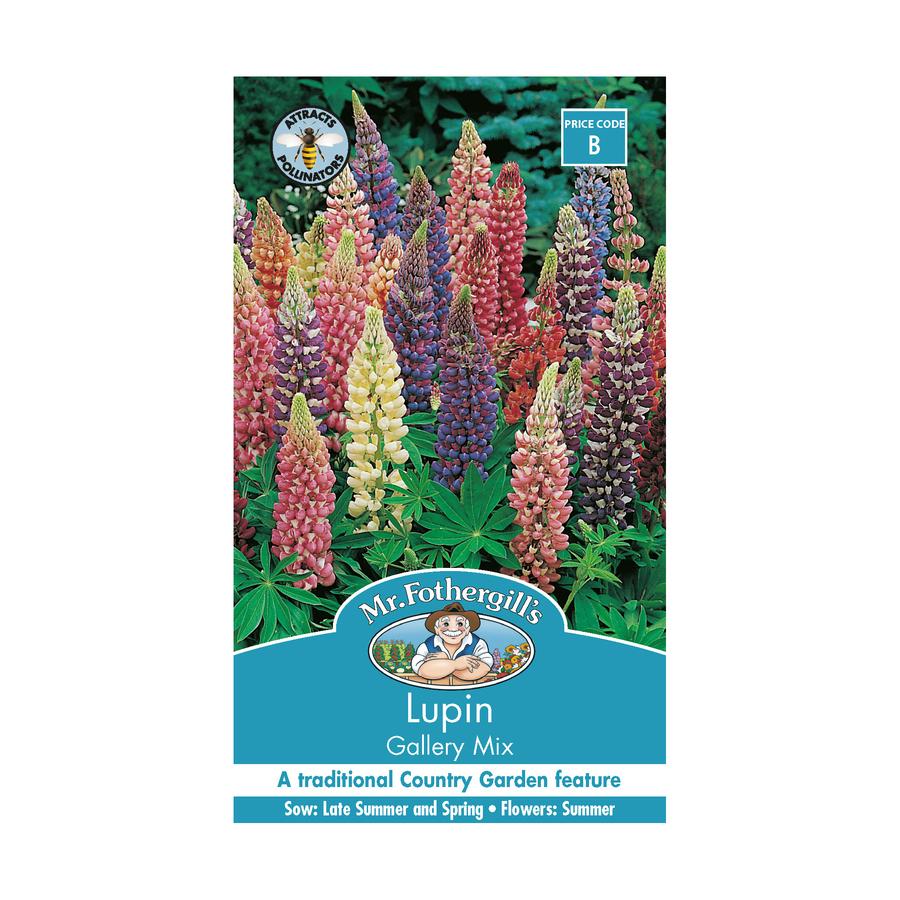 Mr Fothergill's - Lupin Gallery Mixed Seeds
