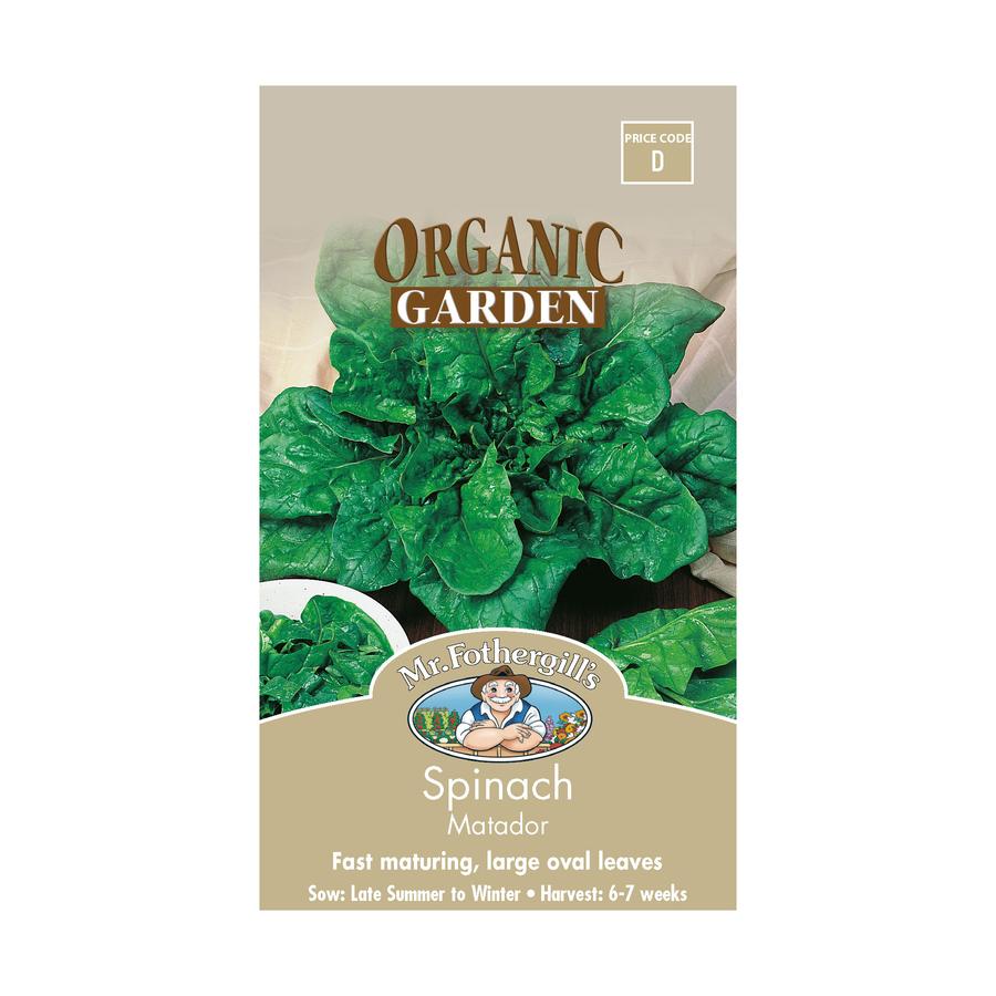 Seeds D Spinach Matador Organic