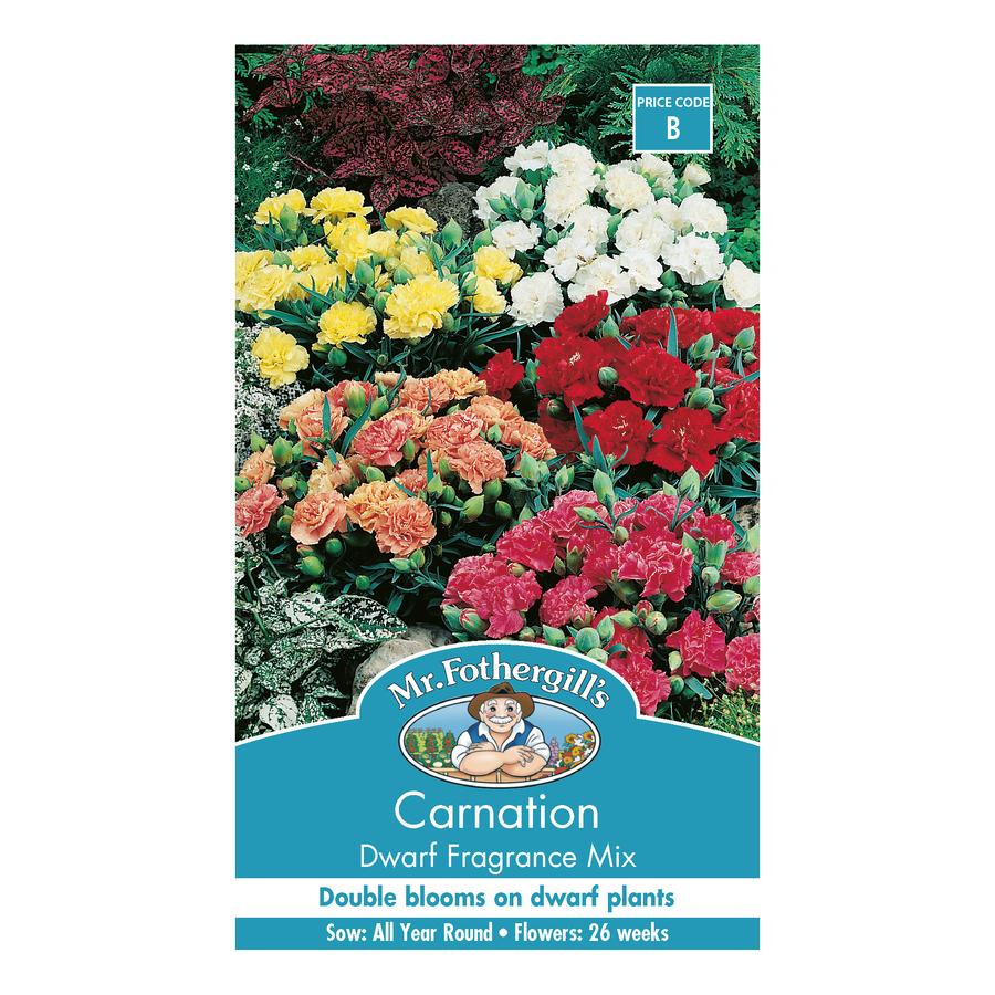 Seeds B Carnation Dwarf Fragrance Mixed