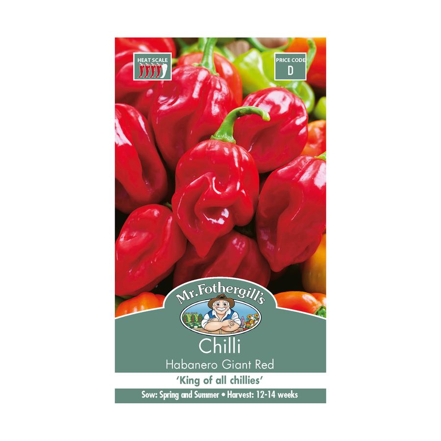 Seeds C Chilli Habanero Giant Red