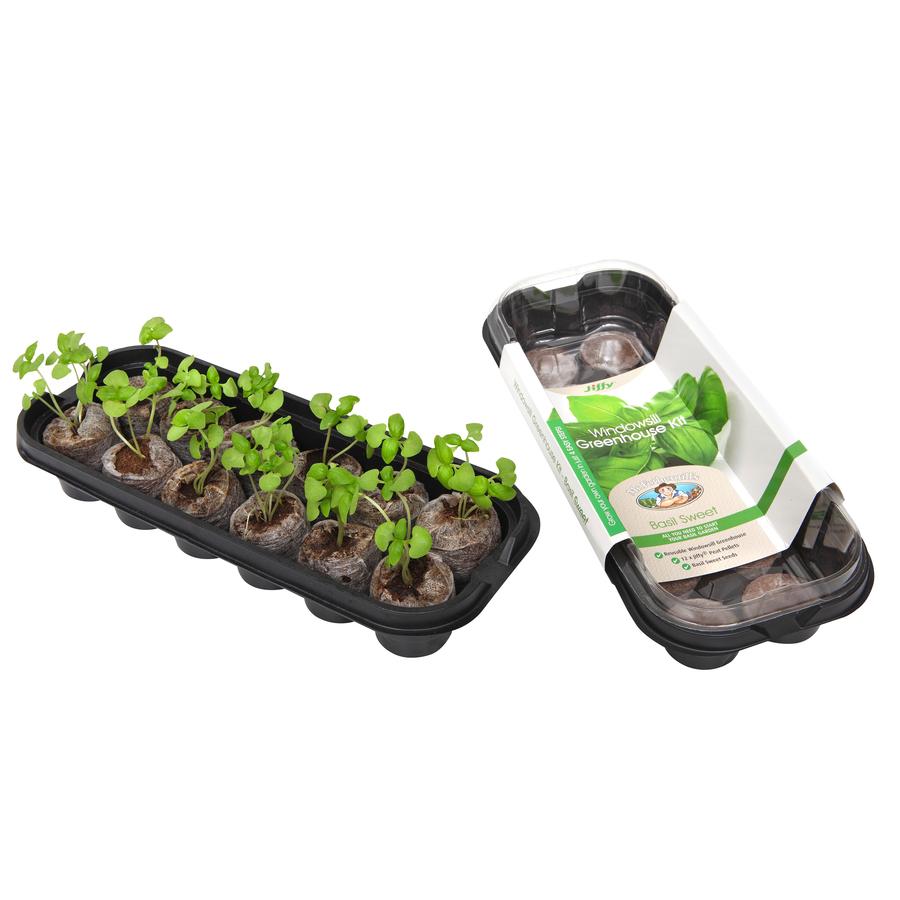 Windowsill Greenhouse Kit - Basil
