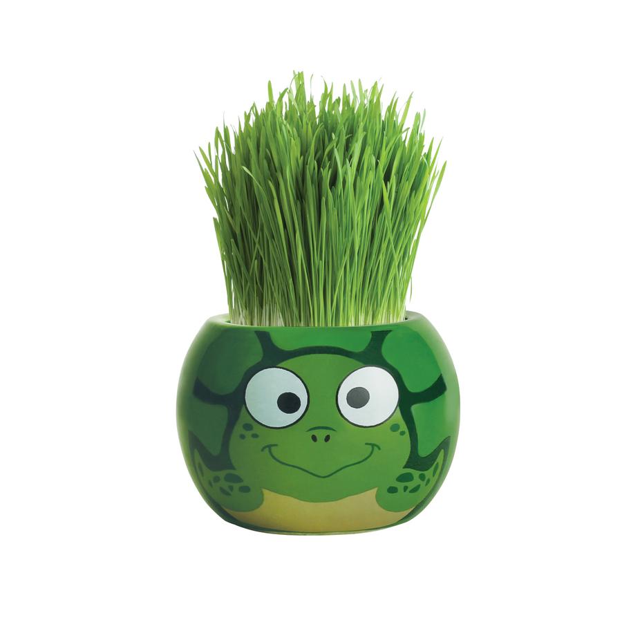 Grass Hair Kit - Ocean Life Turtle