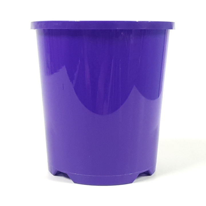 Plastic Pot Packwell Purple