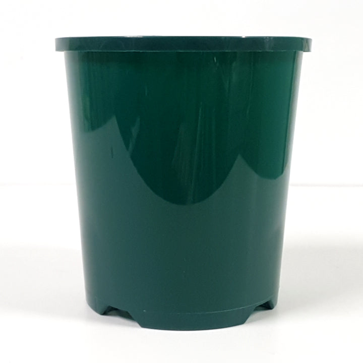 Plastic Pot Packwell Dark Green