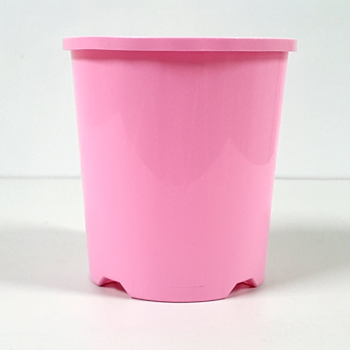 Plastic Pot Packwell Rose Pink