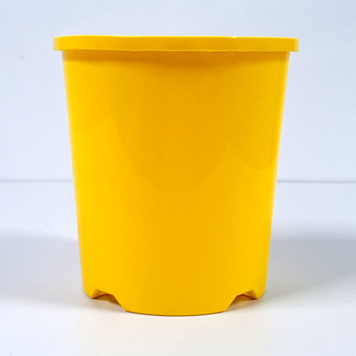 Plastic Pot Packwell Dark Yellow
