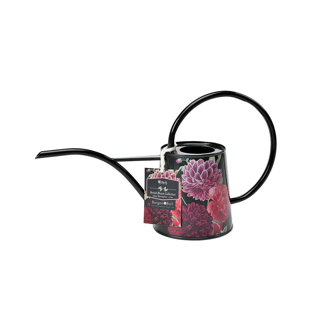 Indoor Watering Can British Bloom