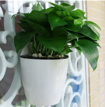 Self Watering Wicking Wall Pot White