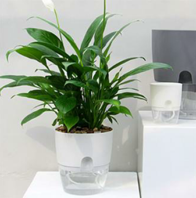 Self Watering Wicking Pot White