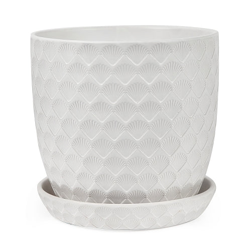 Shell Pot with Saucer - Matt White