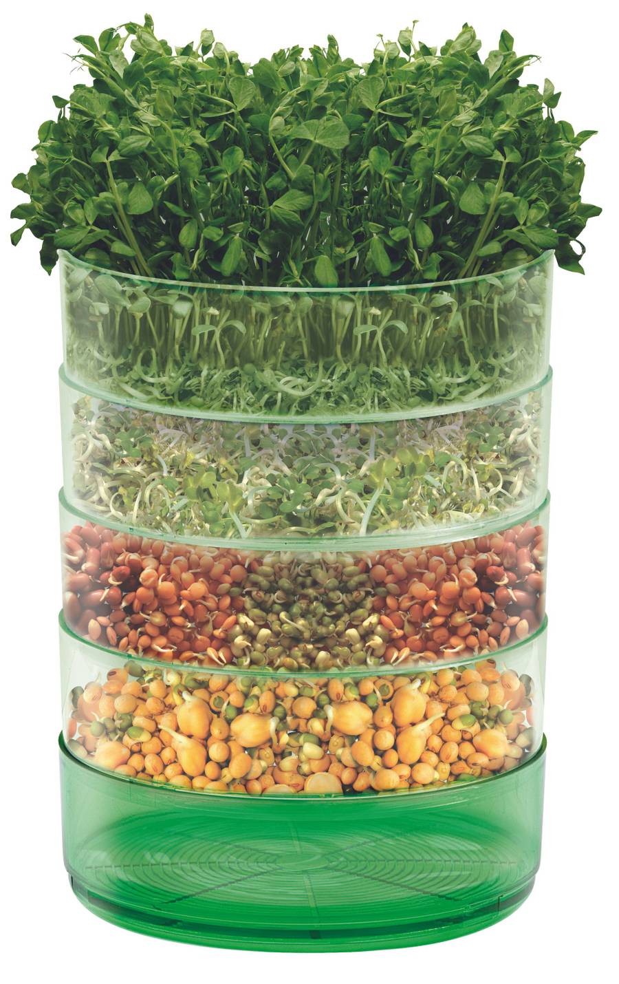 Kitchen Seed Sprouter