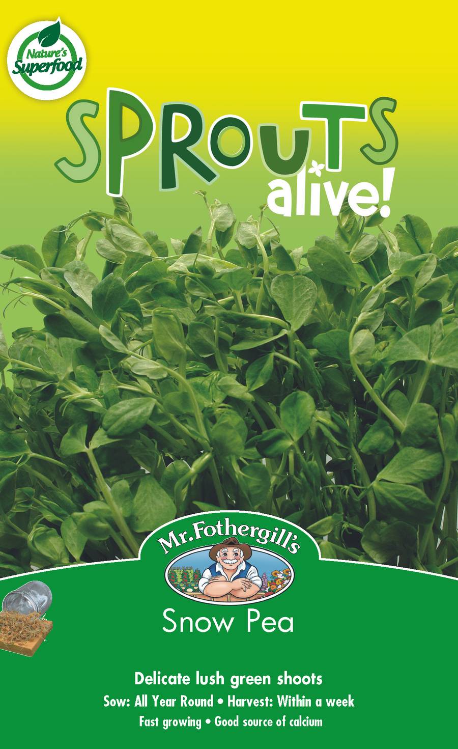 Seeds D Sprouts Alive Snow Pea