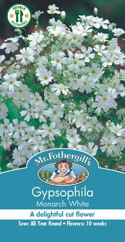Seeds A Gypsophila Monarch White