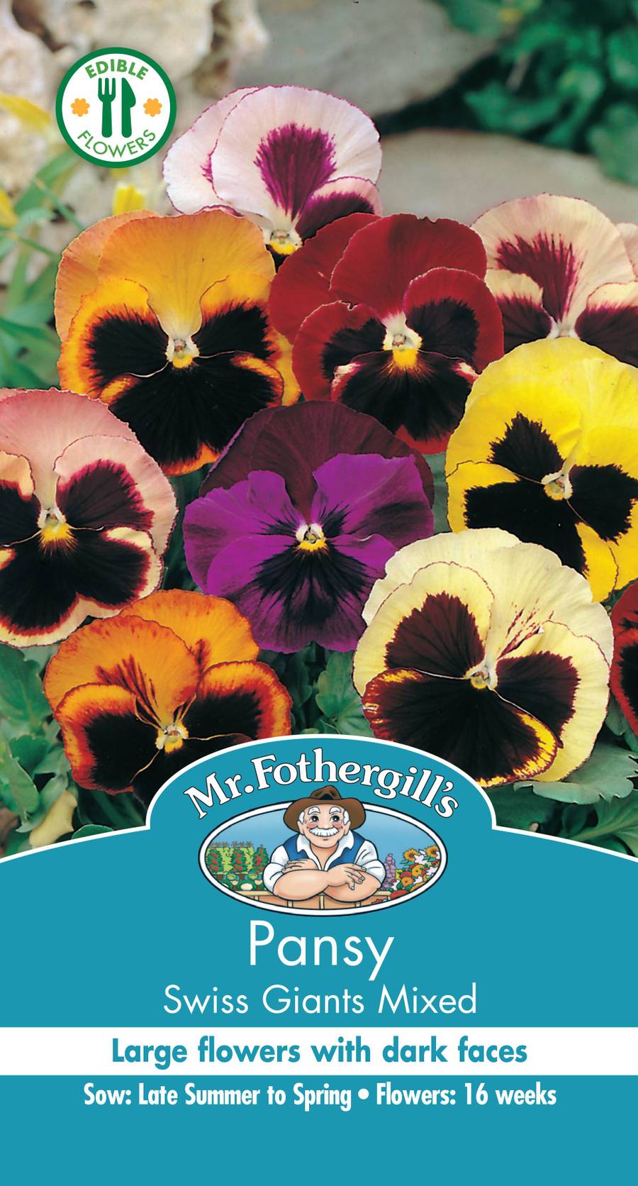 Seeds B Pansy Swiss Giants Mixed