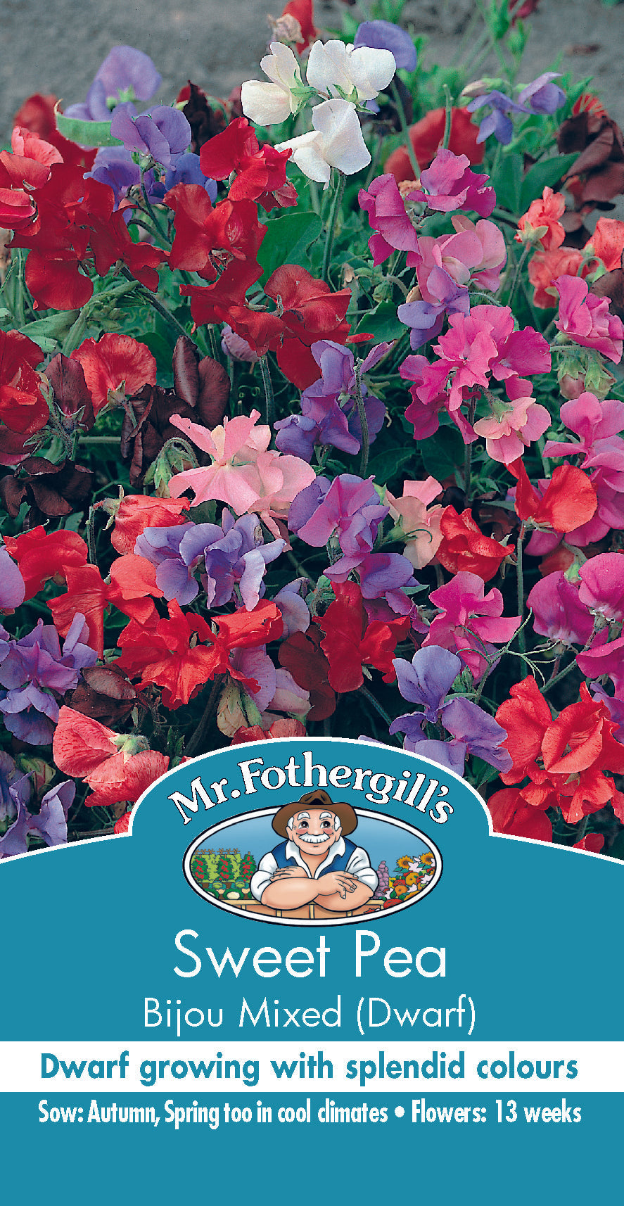 Seeds C Sweet Pea Bijou Mixed