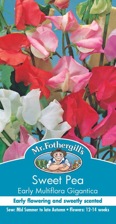 Seeds C Sweet Pea Early Multiflower