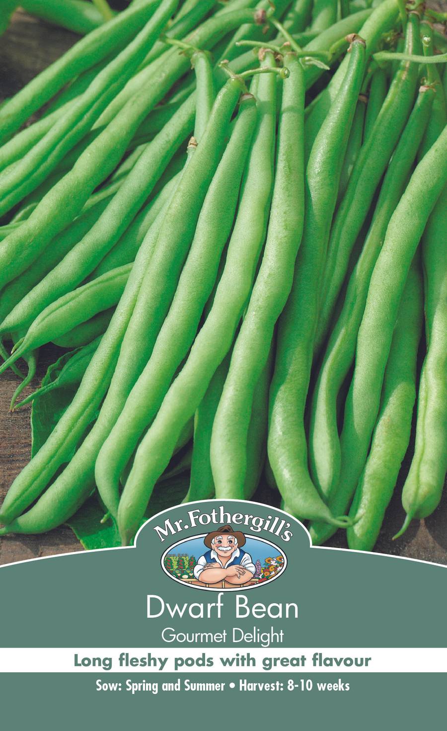 Seeds C Dwarf Bean Gourmets Delight