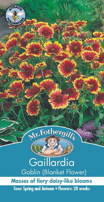 Seeds C Gaillardia Goblin