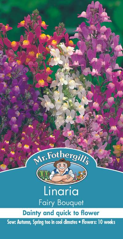 Seeds B Linaria Fairy Bouquet