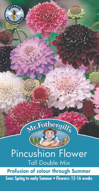 Seeds B Pincushion Flower Tall Double