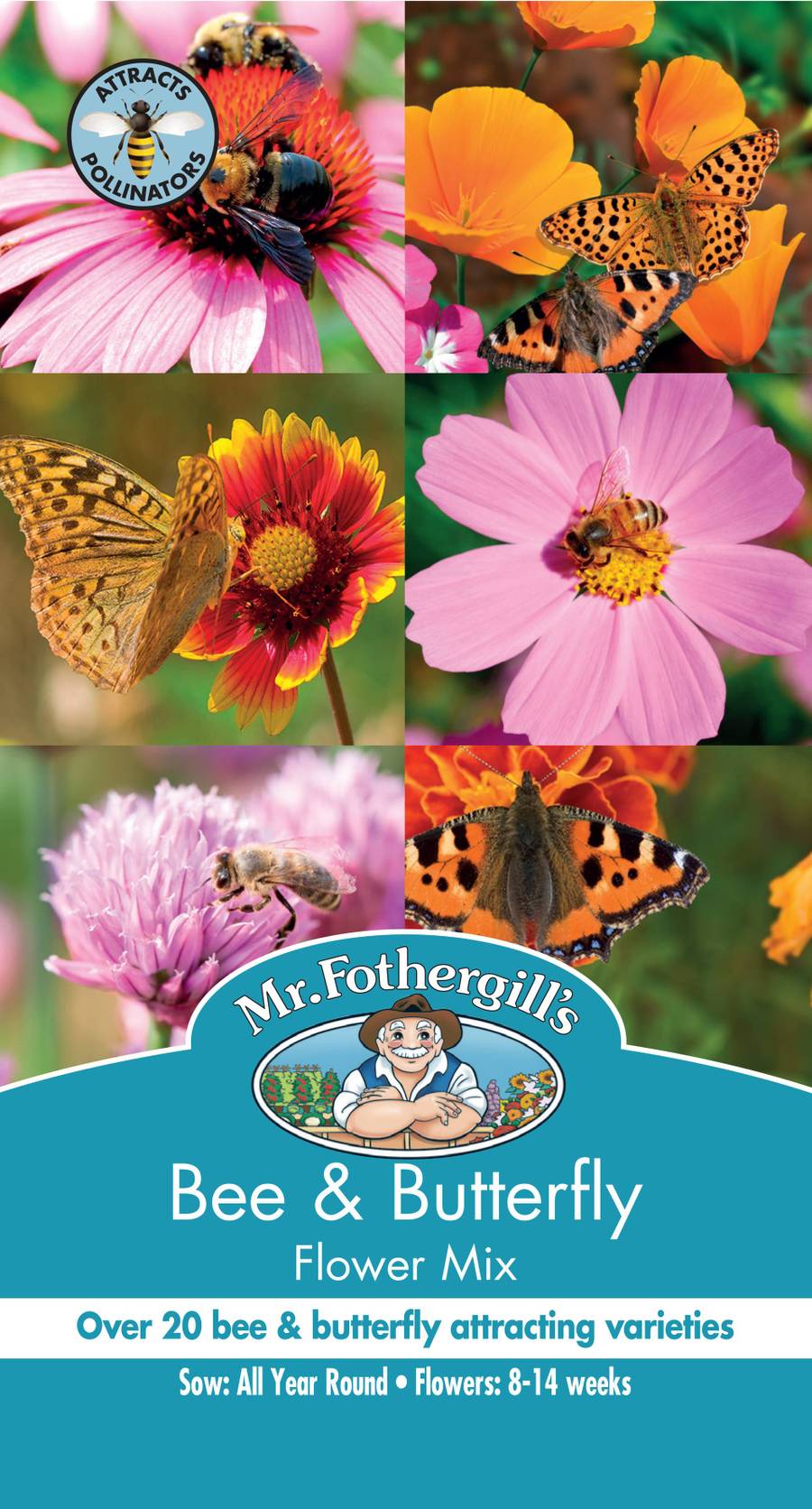 Seeds C Bee And Butterfly Mixed