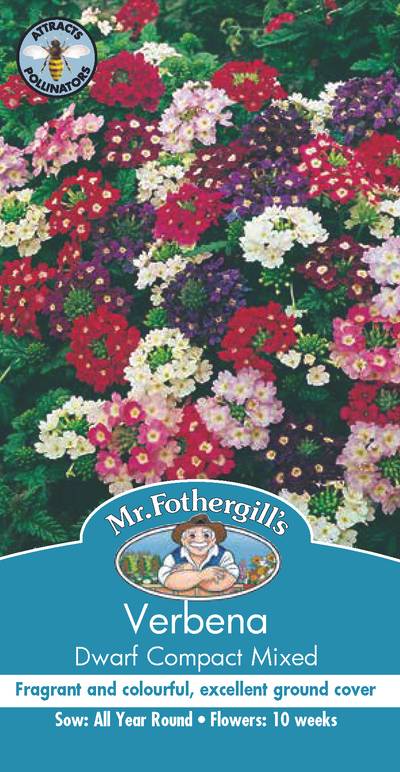 Seeds A Verbena Dwarf Compact
