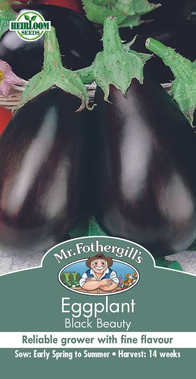 Seeds A Eggplant Black Beauty