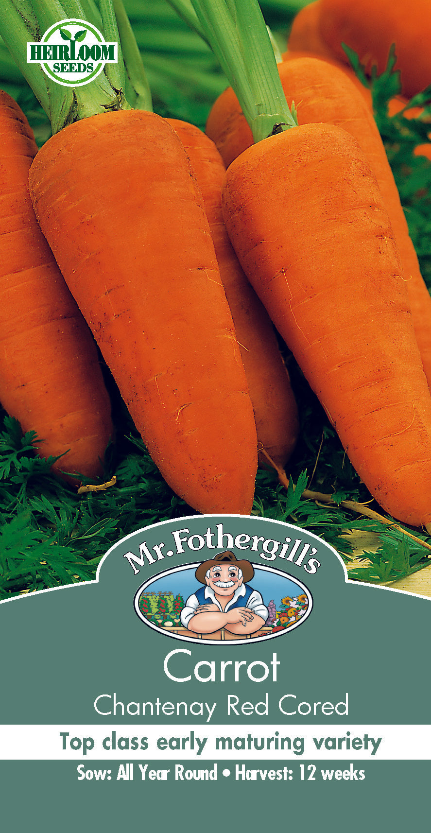 Seeds A Carrot Chantenay Red