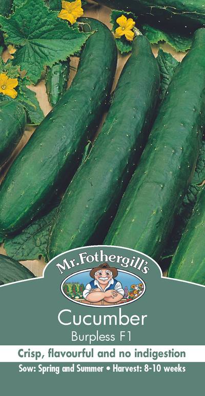 Seeds D Cucumber Burpless