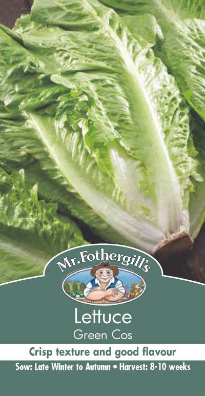 Seeds A Lettuce Green Cos