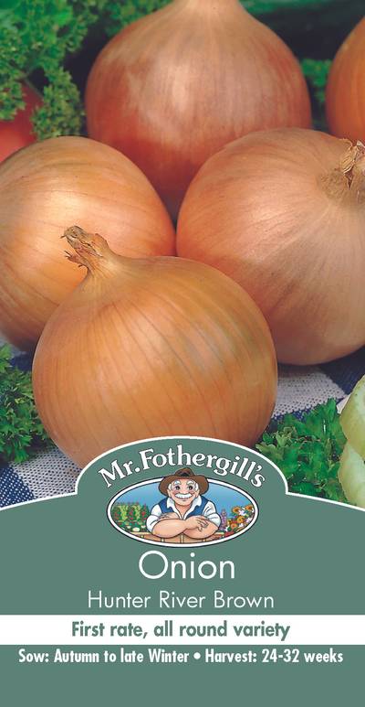 Seeds A Onion Hunter River Brown