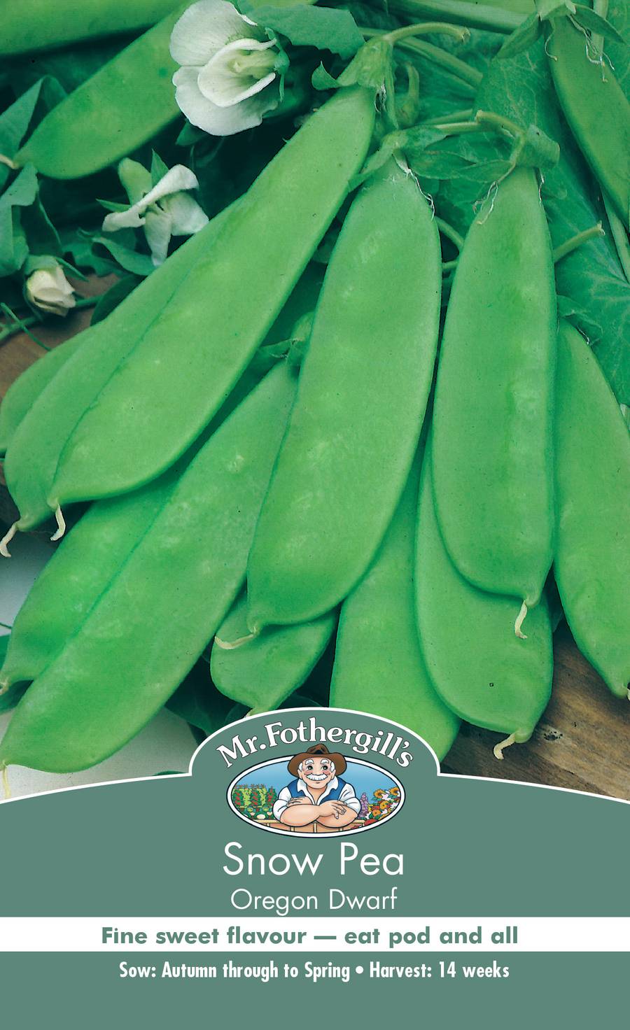 Seeds D Snow Pea Oregon Dwarf