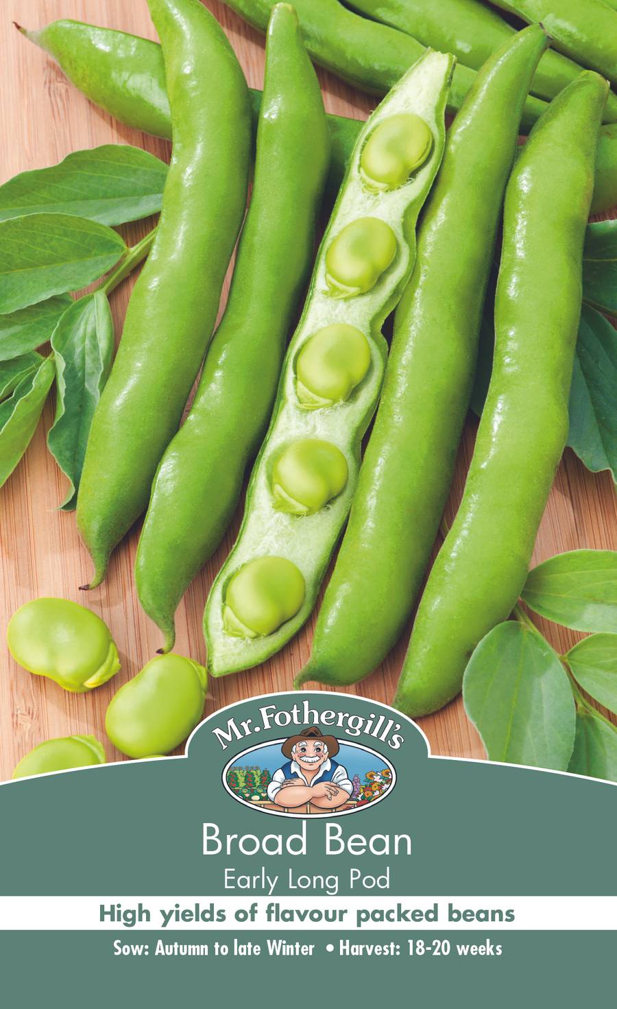 Seeds C Broad Bean Early Long Pod