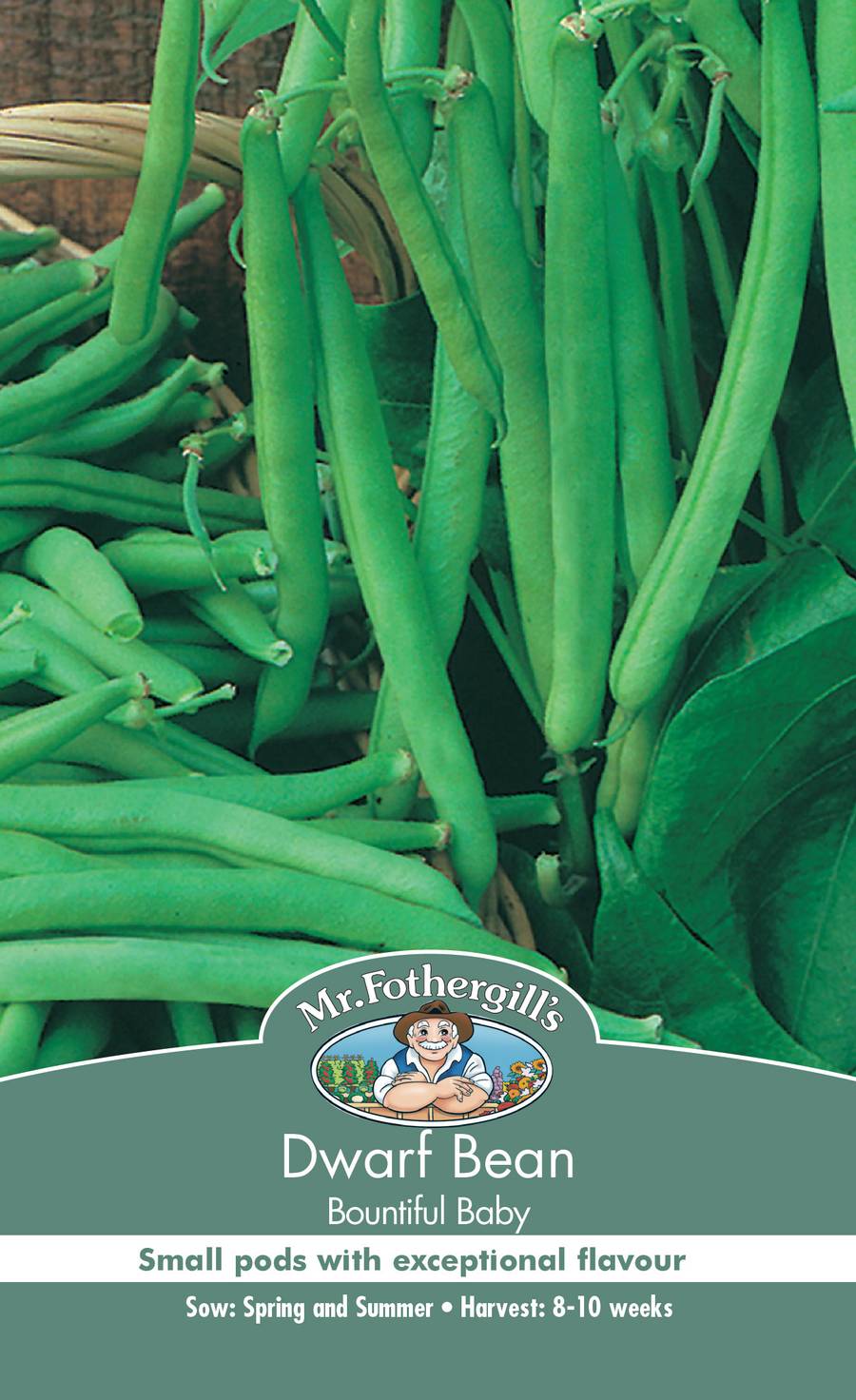 Seeds D Dwarf Bean Bountiful Baby