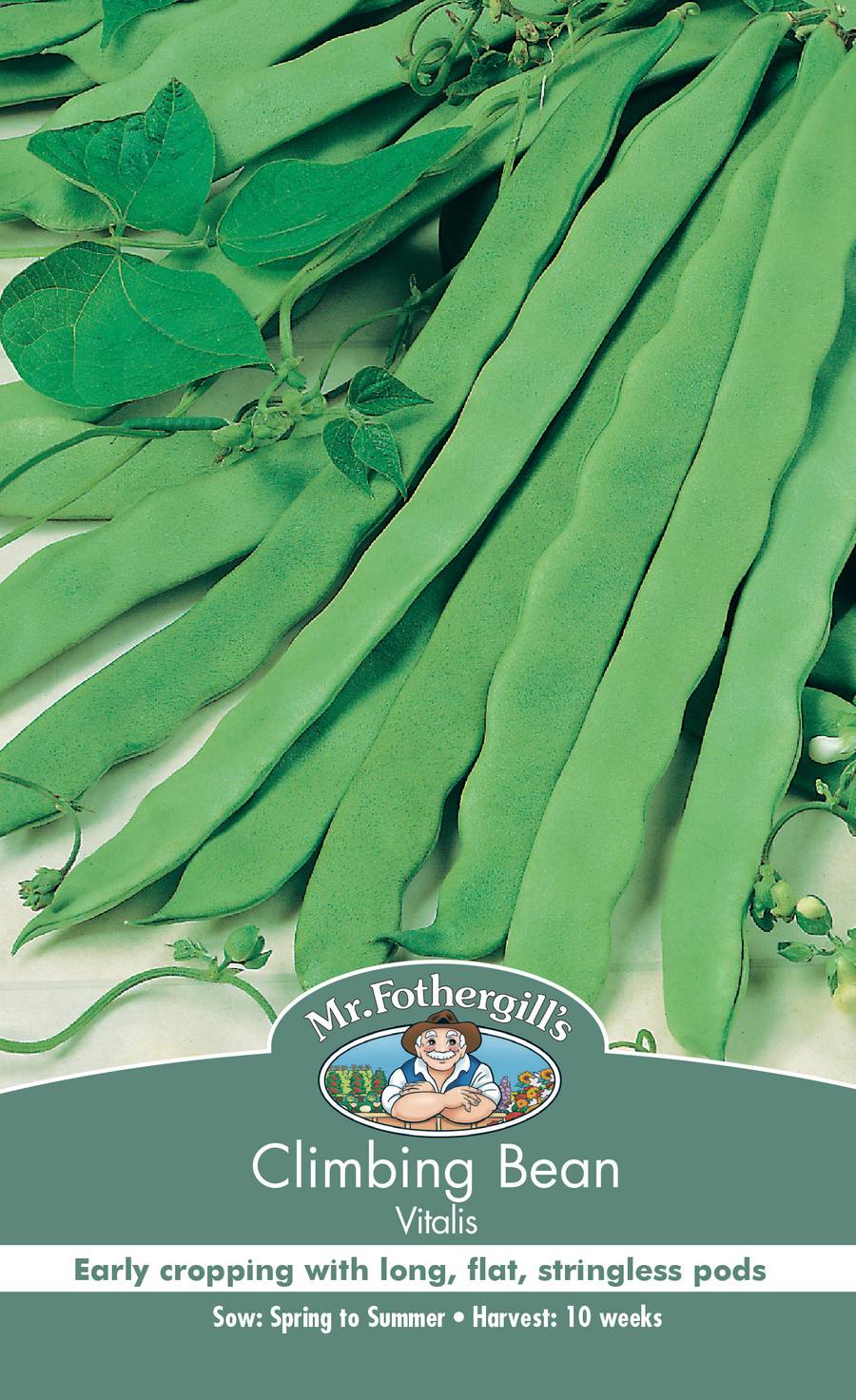 Seeds D Climbing Bean Vitalis